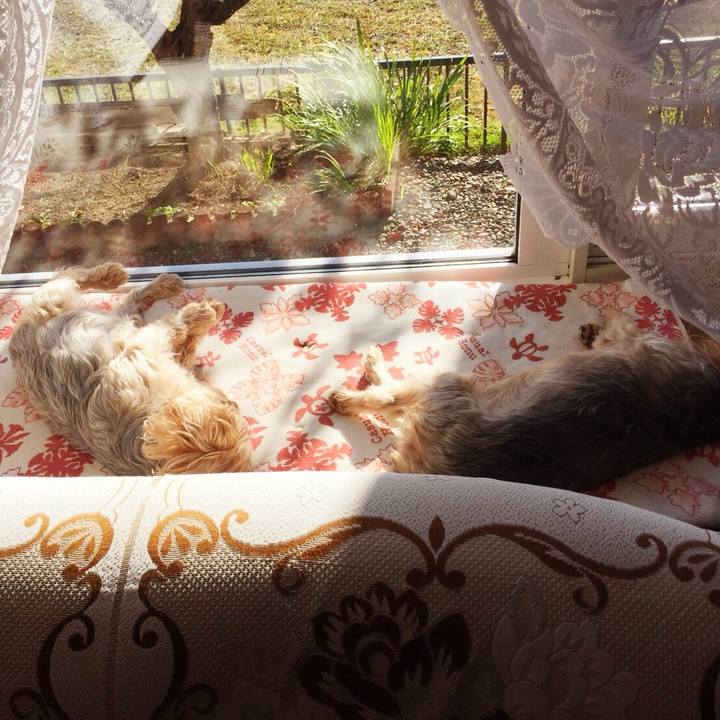 20da260f 6101 4baf 85e2 672647993605 1537662109125