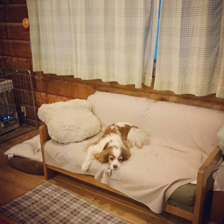 20da3eda d436 4317 b440 4881584b0ca4 1525686518685