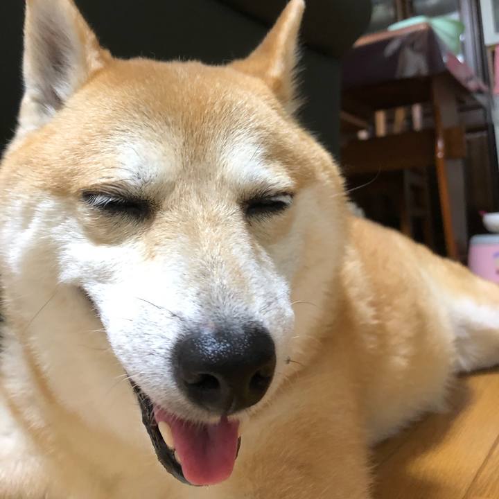 20da4fb8 21ba 4601 b1c5 b8fc5623ce7c 1564669104841