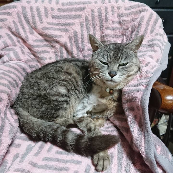 20dae9c3 2848 4f42 a1d0 a81f5d4c2c11 1590141988656