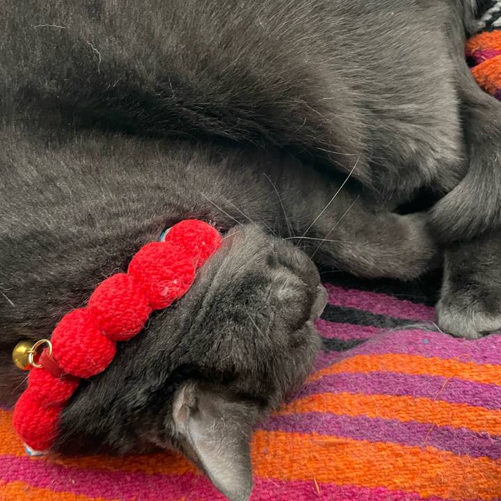 20db1c2c 0479 4dca 9cd8 591fd71b28a1 1764758646006