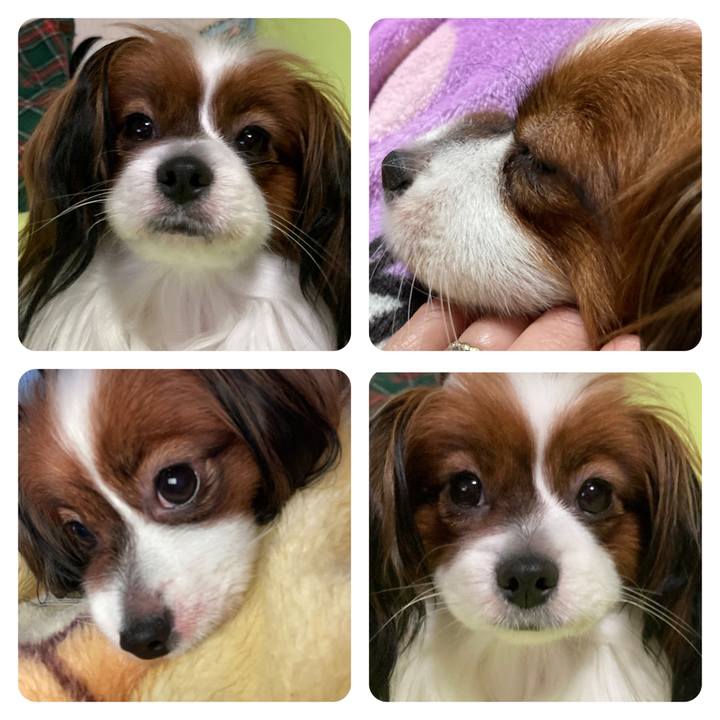 20db26e8 6481 4f7c ae33 e969d06568c1 1653453448069