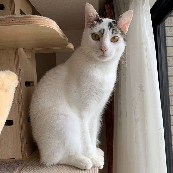 20db2fa0 13f8 4451 93bd 9aba448adfd8 1618379759110