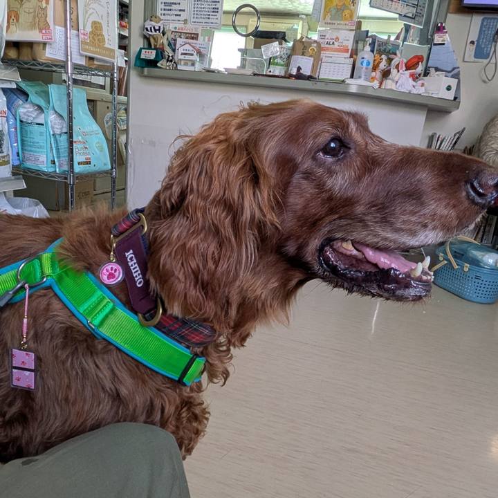 20db8fd2 f919 4c31 a46e 04033091efa3 1764296184065