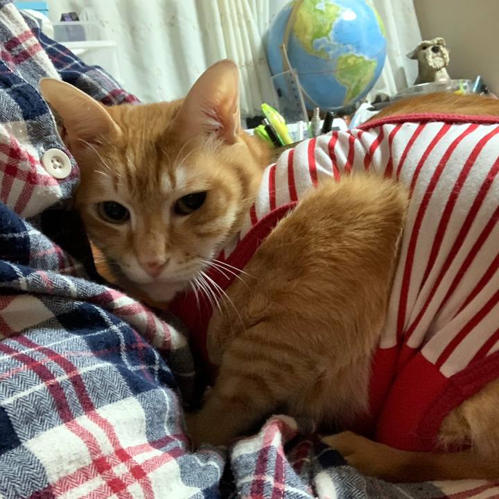 20db97a7 d333 44a4 87a3 33fd981dd32e 1578579568016