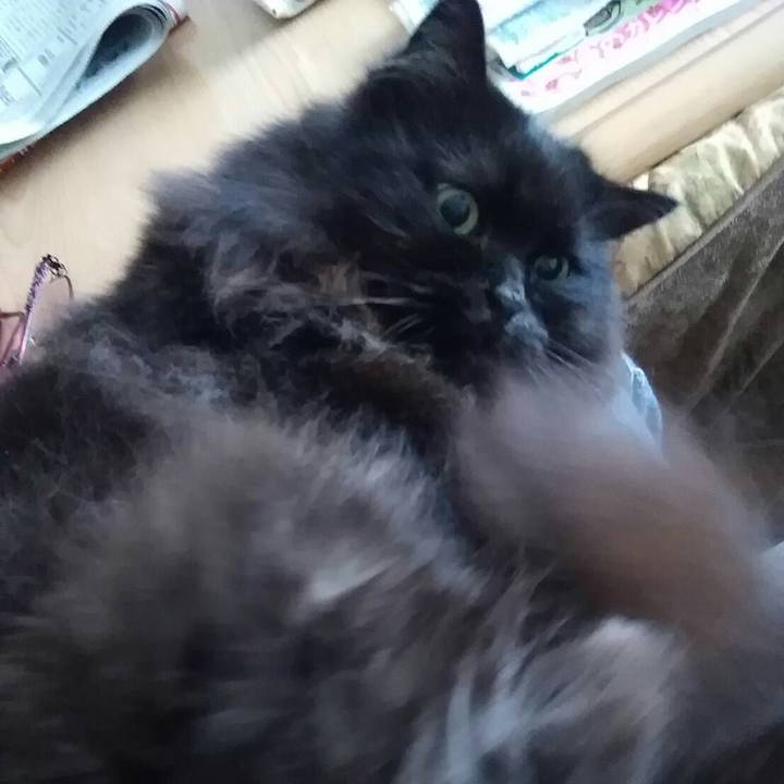 20db99f8 de0a 42d4 bfe5 dd11a6c7b723 1521075722527