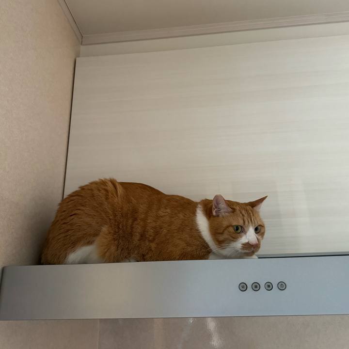 20dba427 b9eb 4ff8 bf69 8aa248d494cd 1762154888764