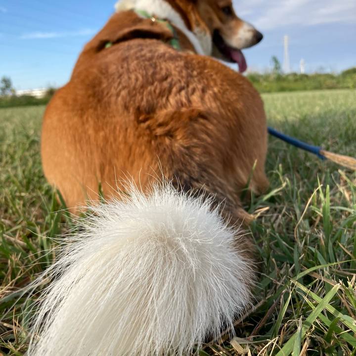 20dbf914 a3b5 460b a7ae bb1b604f340b 1730936209148