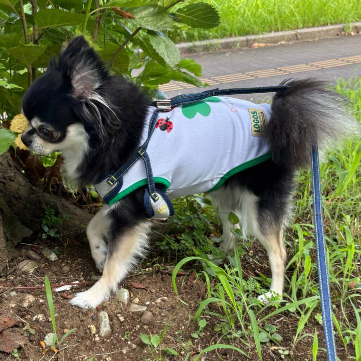 20dc1bdd ae1f 4a4e ada9 242dc00bb133 1753029000886