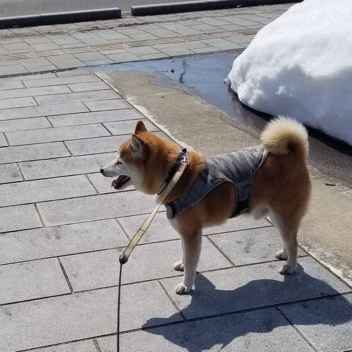 20dc4303 f87f 4ef1 bf65 17a958a98a60 1646971433219