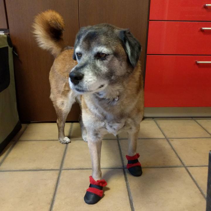 20dcba66 9fba 463a b1d7 a98ef221ab92 1520208516522