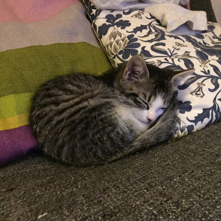 20dcd1ba ef6d 41f1 ae54 51a6c549e9e8 1538661113553