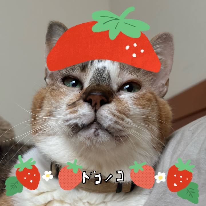 20dcd6c4 562c 41b7 8859 f2ce3c40a052 1775324185673