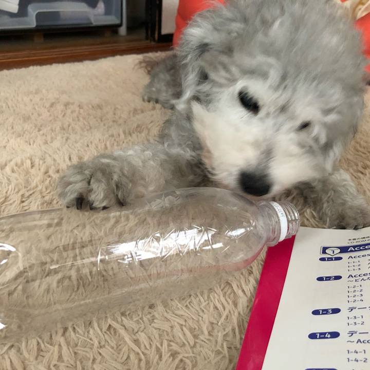 20dcdc70 84d2 48ce 938d 80b5da0a7da8 1563166815545