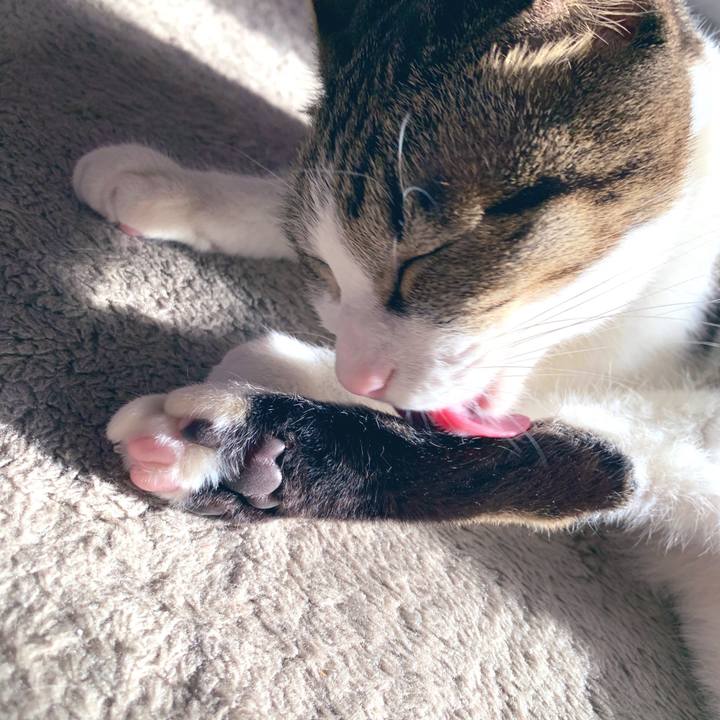 20dd218c a162 4f19 81fa b432fd32e72d 1548461437354