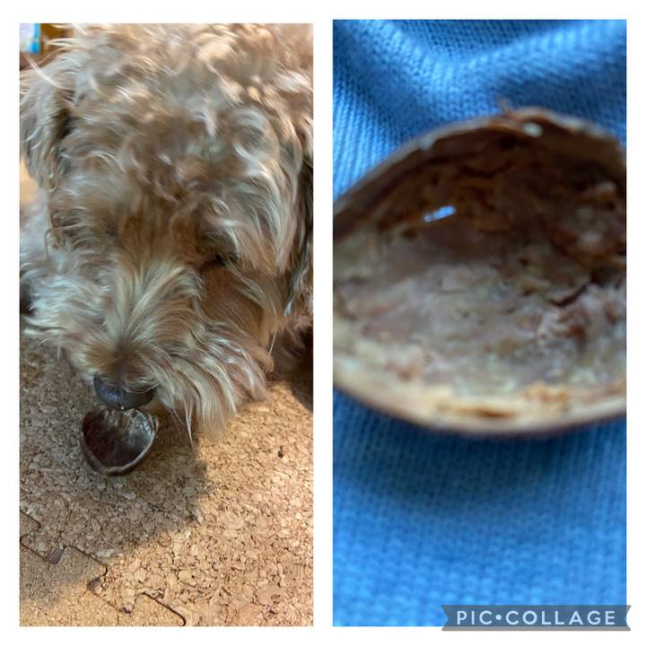 20dd6aff d67f 4f82 b1b4 bd6619a904aa 1632346732870