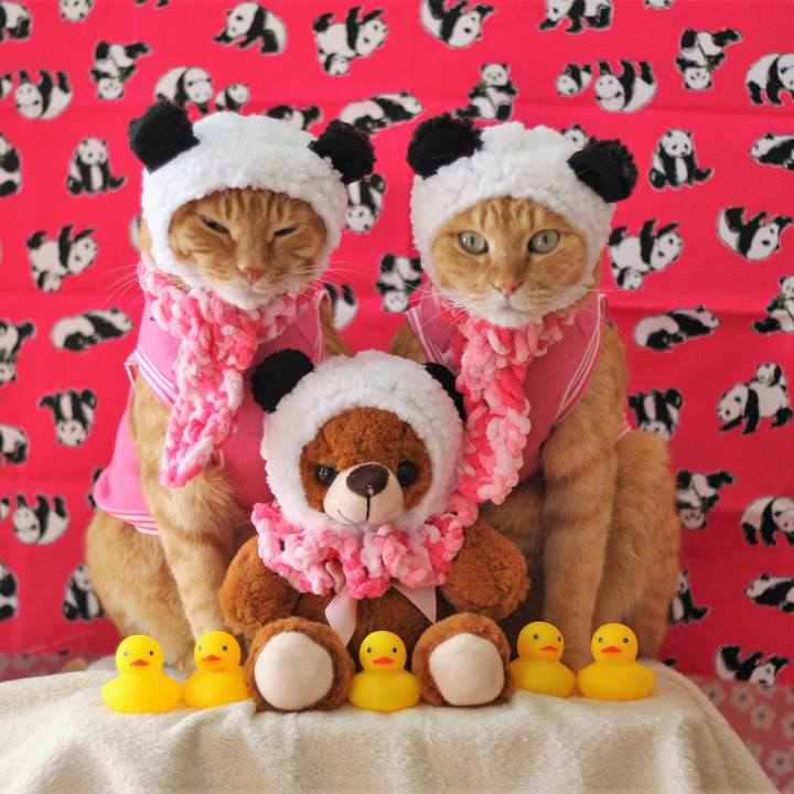 20dddcda 95fd 467f 83da 5b5b951633b1 1517404639368