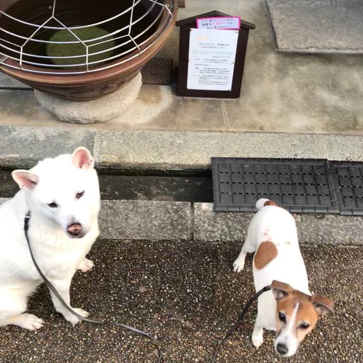 20de055e 798a 4739 85d6 465a668cf685 1521628541918