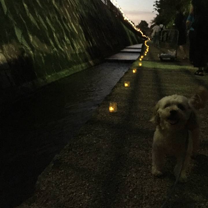 20de2203 2d36 4756 a3ca a48929af21aa 1533389512295