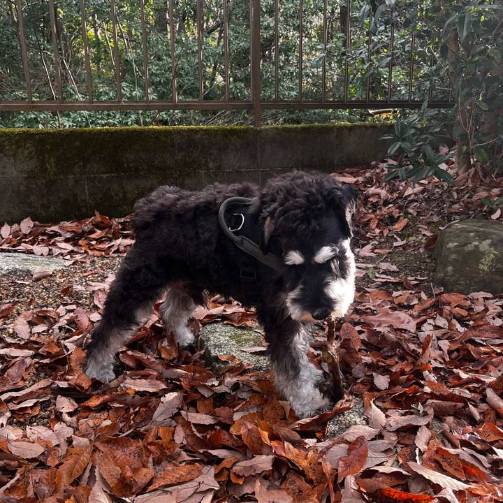 20de35a5 9acc 441d ad09 09110627ae27 1766231905934