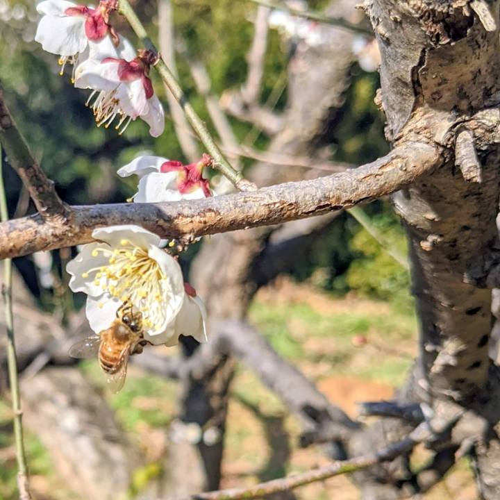 20de3c93 feb4 40d1 97e7 f65e8feed513 1771046643288