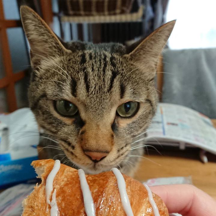 20de41a7 3614 4dd7 8fdd 75e648b71998 1514675715864