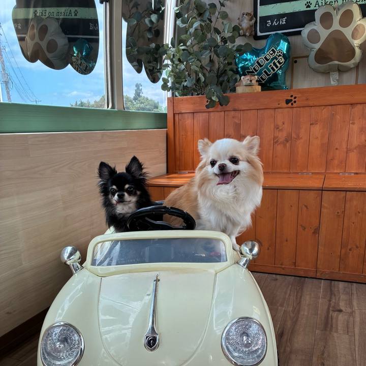 20de696b a679 47cc aae2 623bc1464822 1763808410919