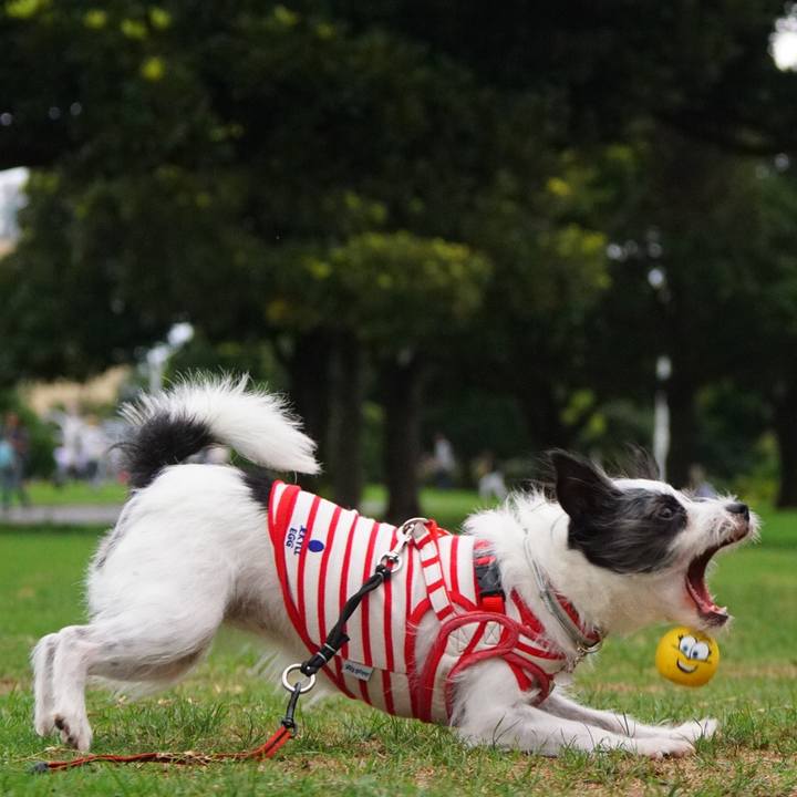 20de7ce4 931b 48ba a5e4 0aa9467f1517 1536665884206