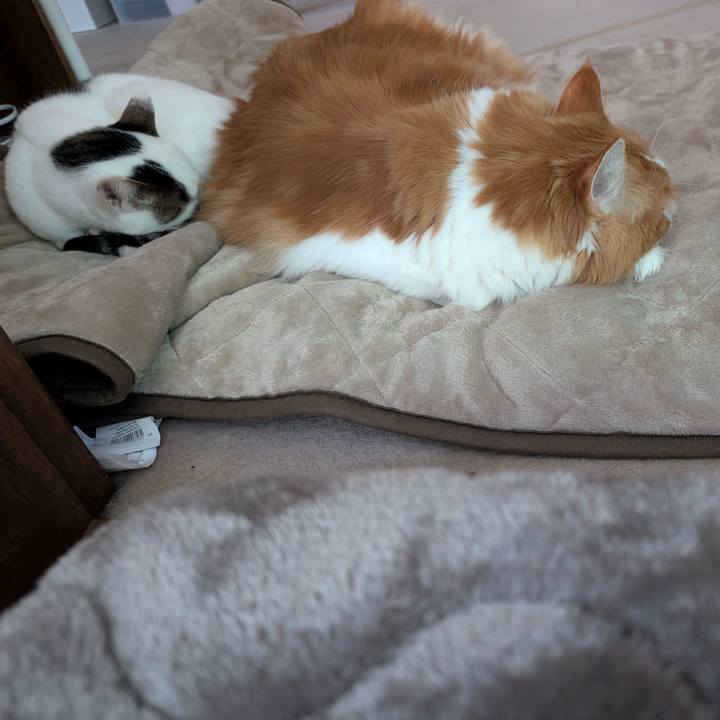 20de956c 0d7a 4951 9d17 321df1e74edf 1766883501387