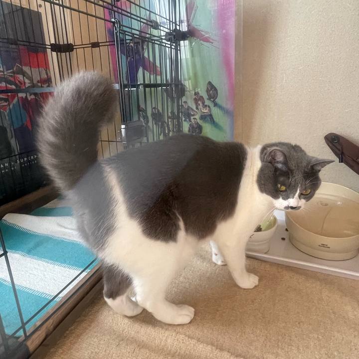 20def57b 4860 4efa 9596 5ce11b14e049 1732329744581