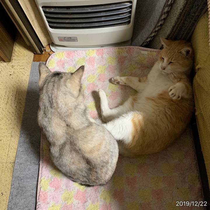 20df28af a41b 4ef7 8b0c 0fe5fdf30271 1576978400710