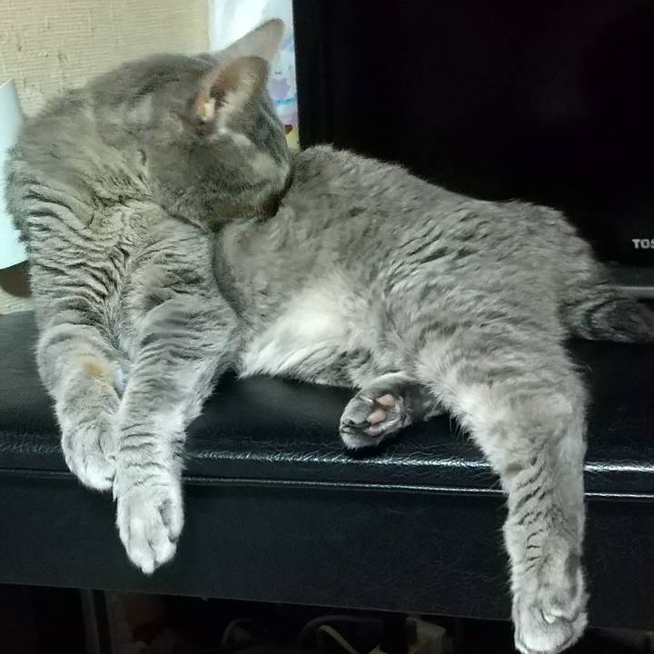 20dfaa85 6bc3 444e 913a 4b8cc41550e9 1693571406508