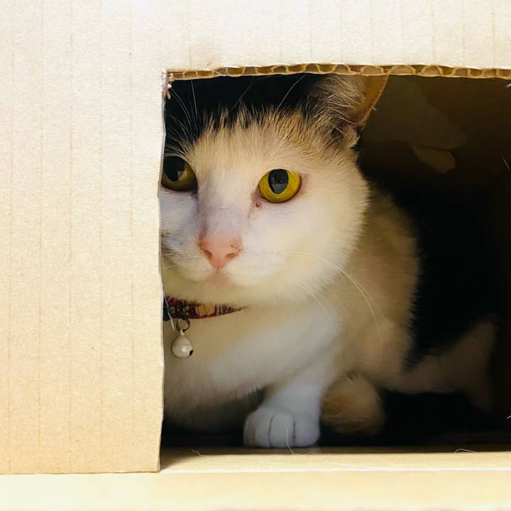 20e00e2b 1e8a 40bf b0f9 5288a2ea34f8 1652613750427