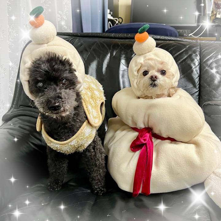 20e03d6b a241 4222 ba74 4c91795dd1ab 1767224176618