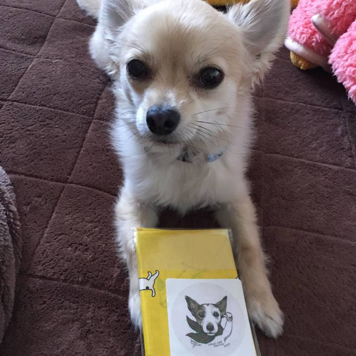 20e03f57 ceea 4db7 a6e0 d0f7b4a02e4e 1526712078795