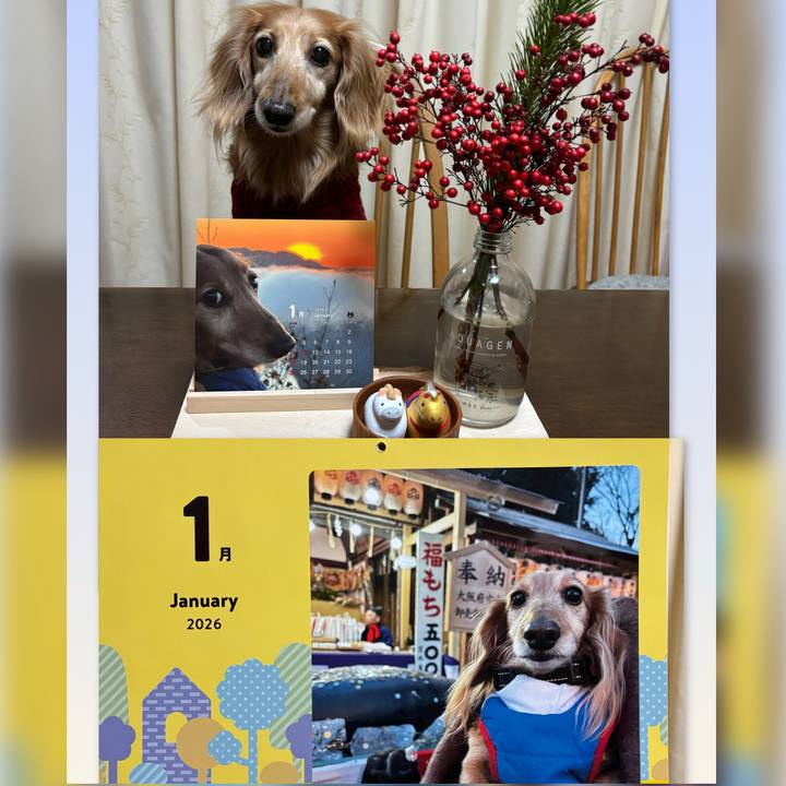 20e0448a 2ad1 4a88 9ed6 41cf9a10d5e1 1770030701302