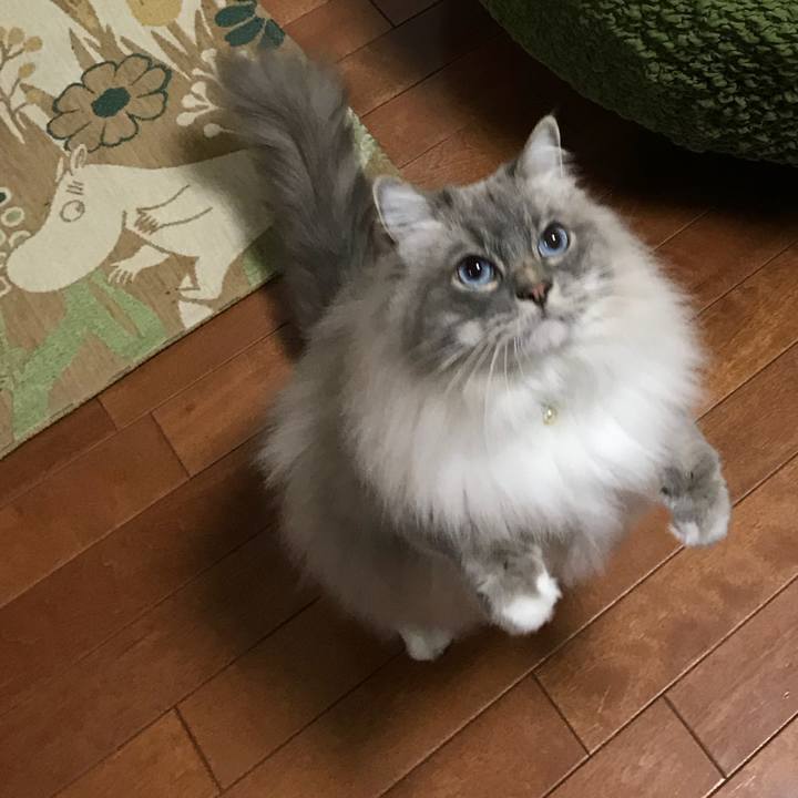 20e05846 4c9a 46d6 8f7d 083de4331f02 1520516101804