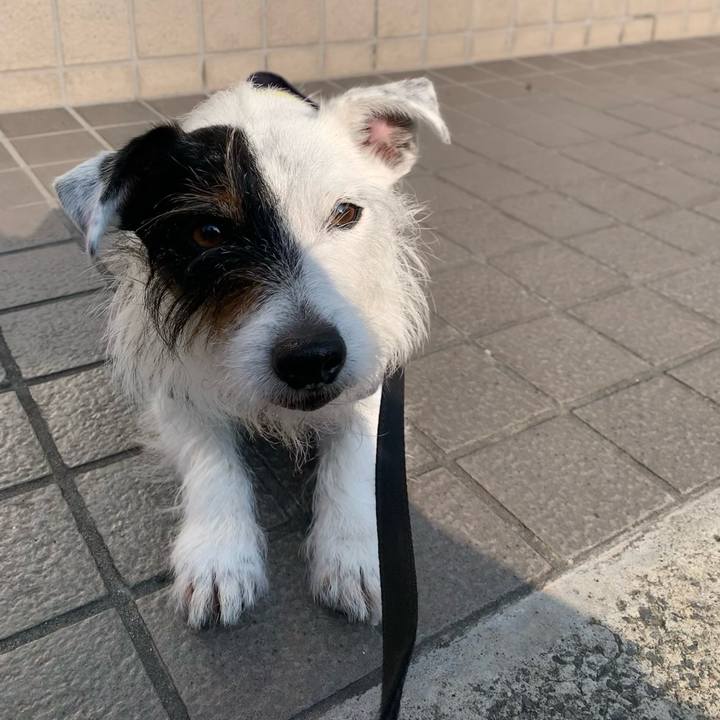 20e0736e 0f05 476e a3d2 5dc86d80e3bd 1654761316851