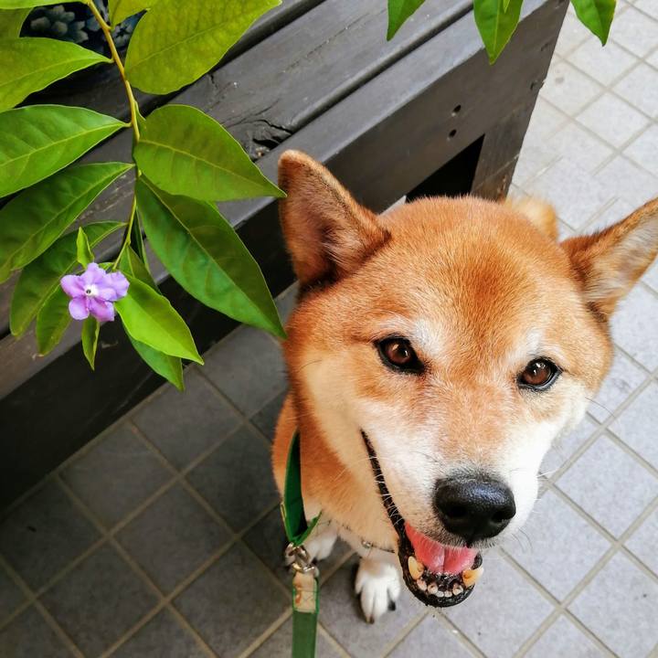 20e09ae6 2758 4f97 bd7a d52e93d6b1e0 1628672484882