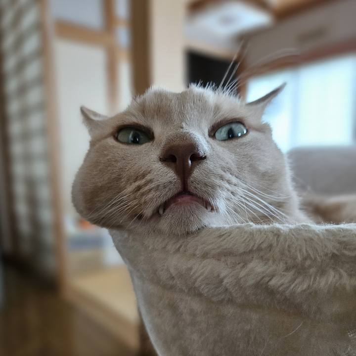 20e0e76d 8dc7 42c5 9899 964edd7877c2 1758430813946