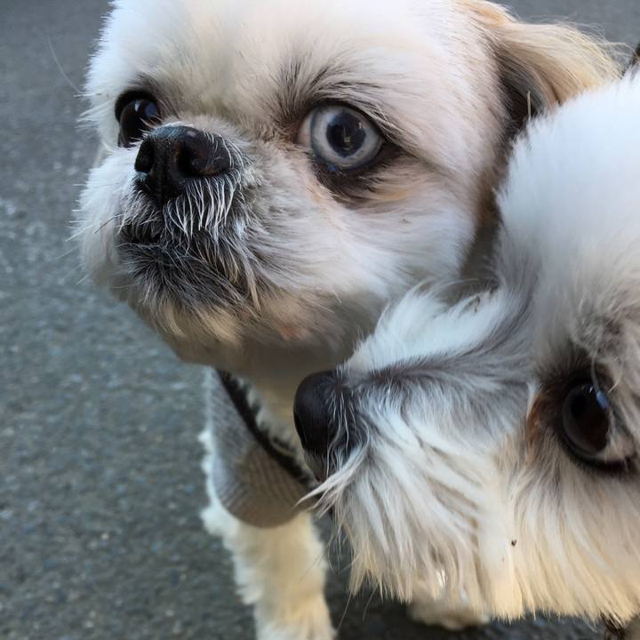 20e12c0b ca5a 4f38 a5b6 127bdfd3f699 1581139030833