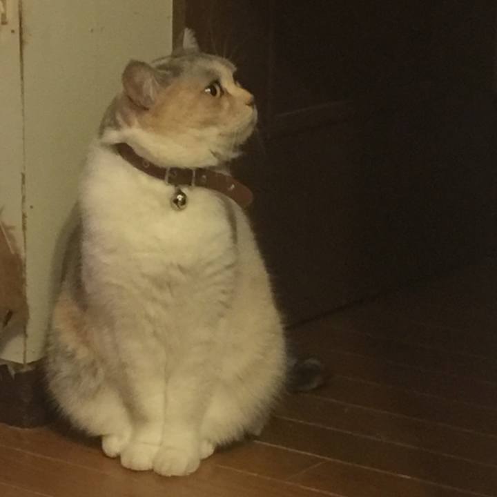 20e18822 7a4c 428d 8416 47c1252a0987 1553159102906