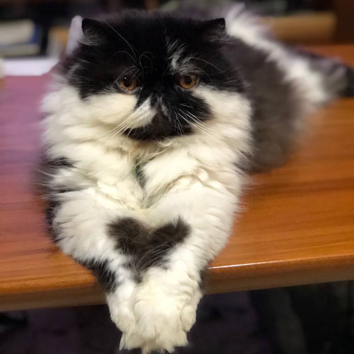 20e1c832 ea68 4382 a537 83e5c7701a31 1562246630097