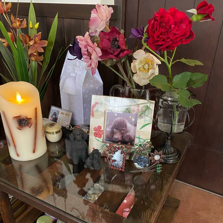 20e1ffaa 26f2 4493 9069 ffeb8d3cfa57 1687228104899