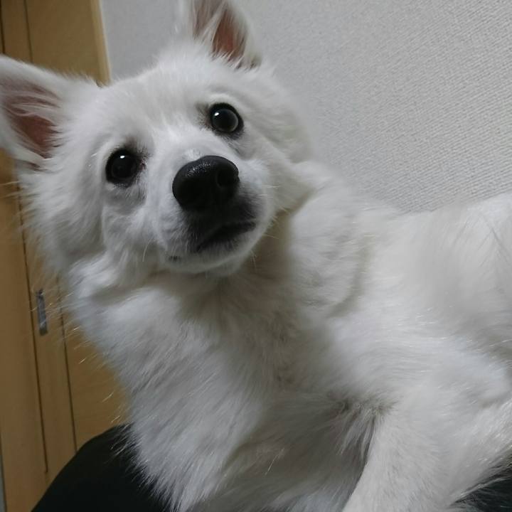 20e20a5b ef6a 48fb b9d2 f655469bbfd0 1509628274754