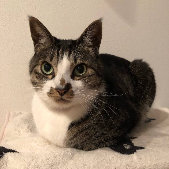 20e21d87 e82d 4202 a577 5bc8faa41e34 1521978309466