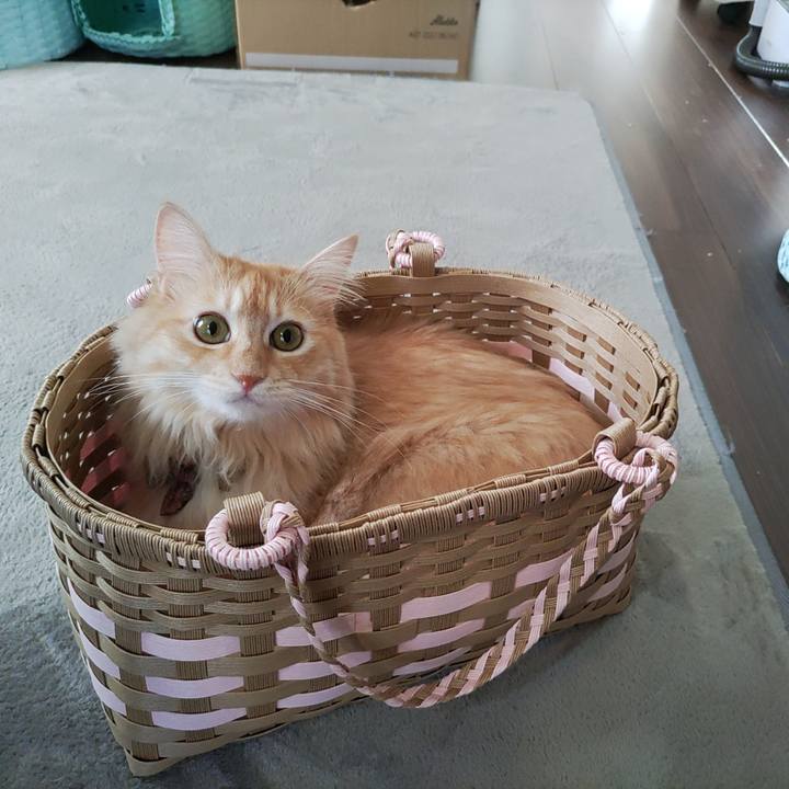 20e2779f 8dfc 455d bcd6 bb98d0f73220 1660468314947