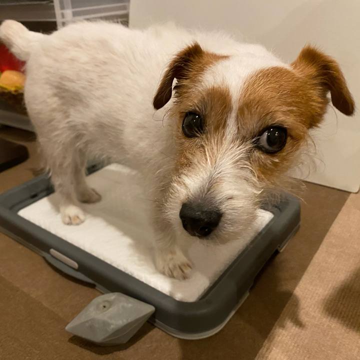 20e27cf8 fdd8 4712 b170 2aa2a9aff99b 1648213325324