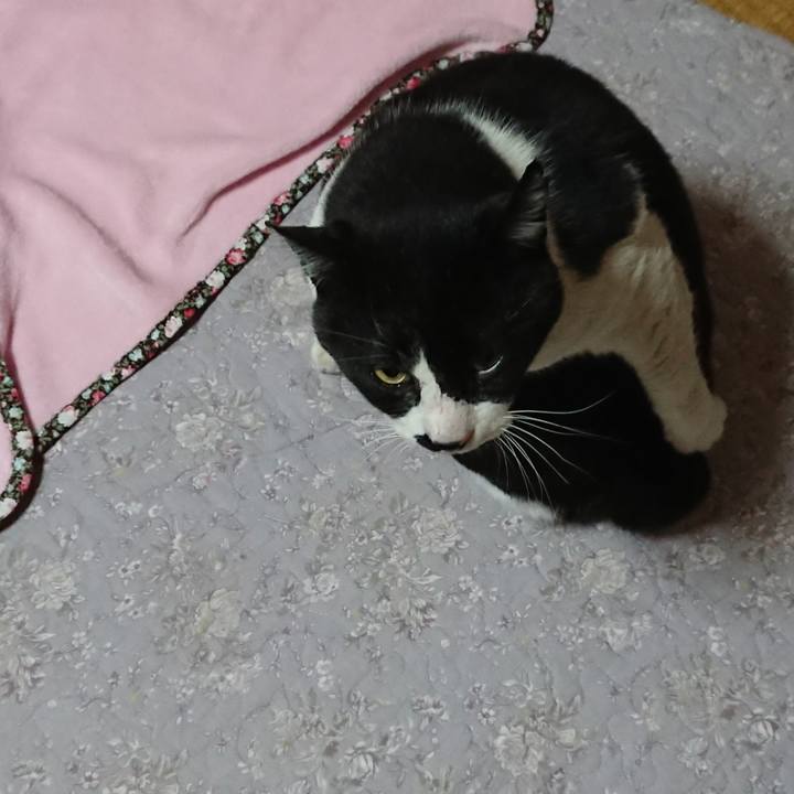 20e27f9d b97c 4675 a33c da14394fc89a 1549627867408