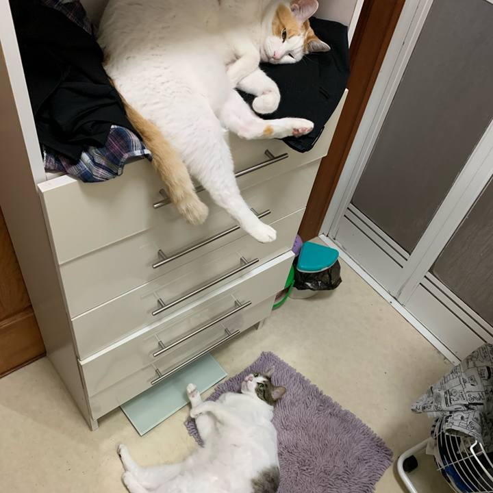 20e280b1 bf24 4bce a4e9 2a820df9c414 1592311943107